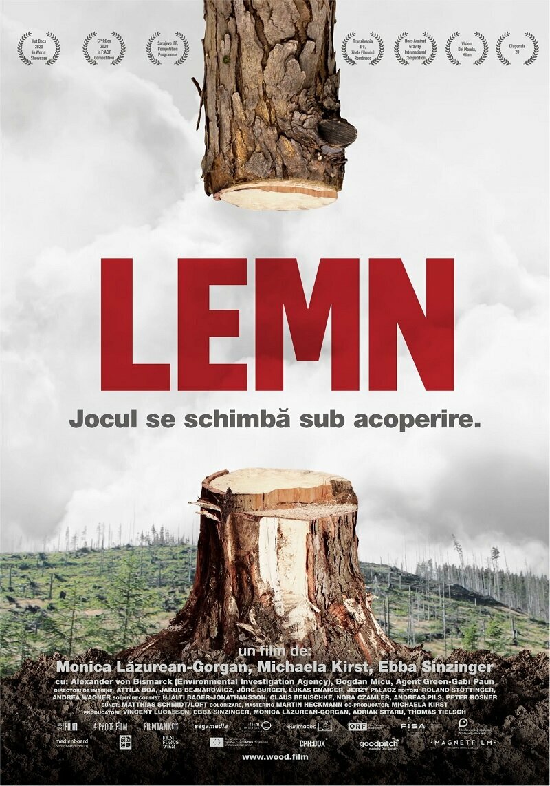 Лес. Кто меняет правила?