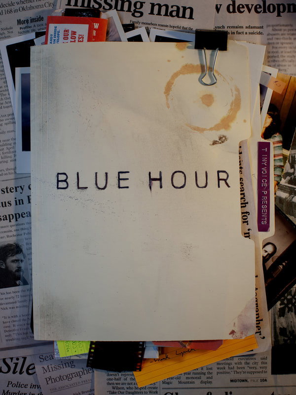 Blue Hour: The Disappearance of Nick Brandreth