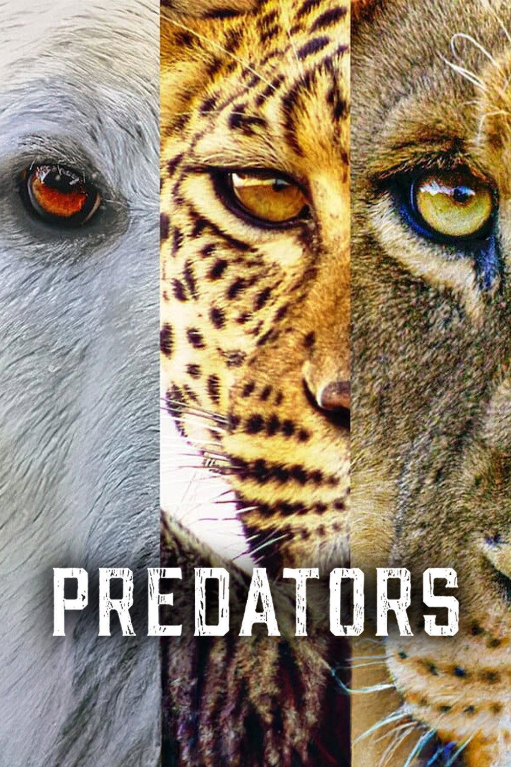 Predators