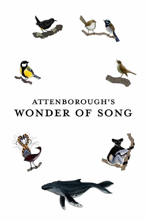 Attenborough's Wonder of Song