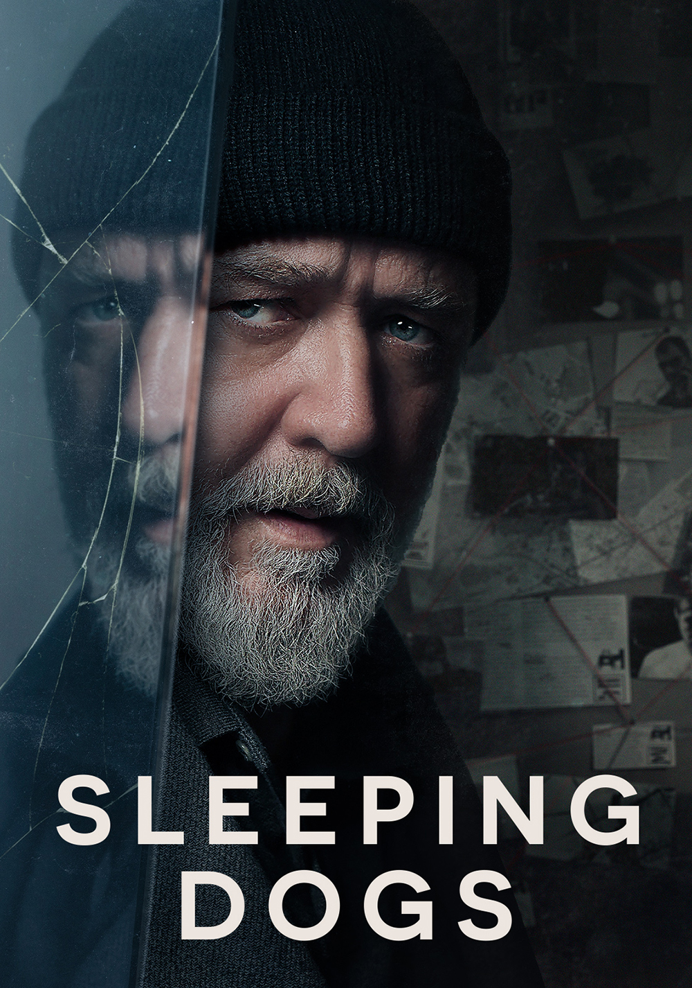 Sleeping Dogs