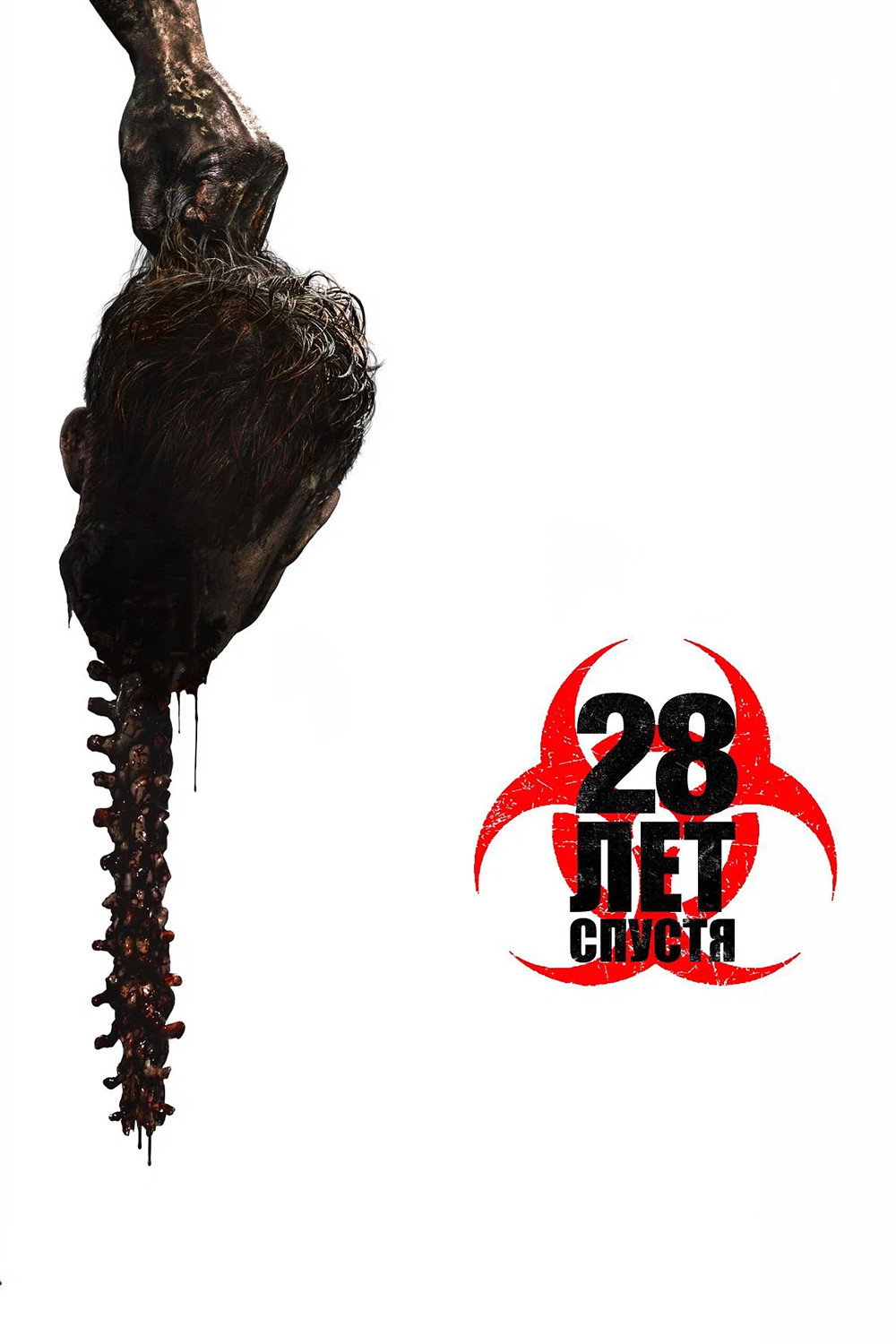 28 лет спустя
