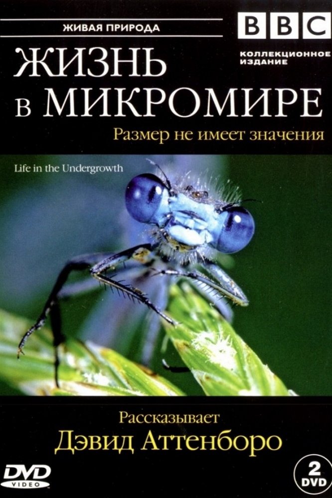 BBC: Жизнь в микромире