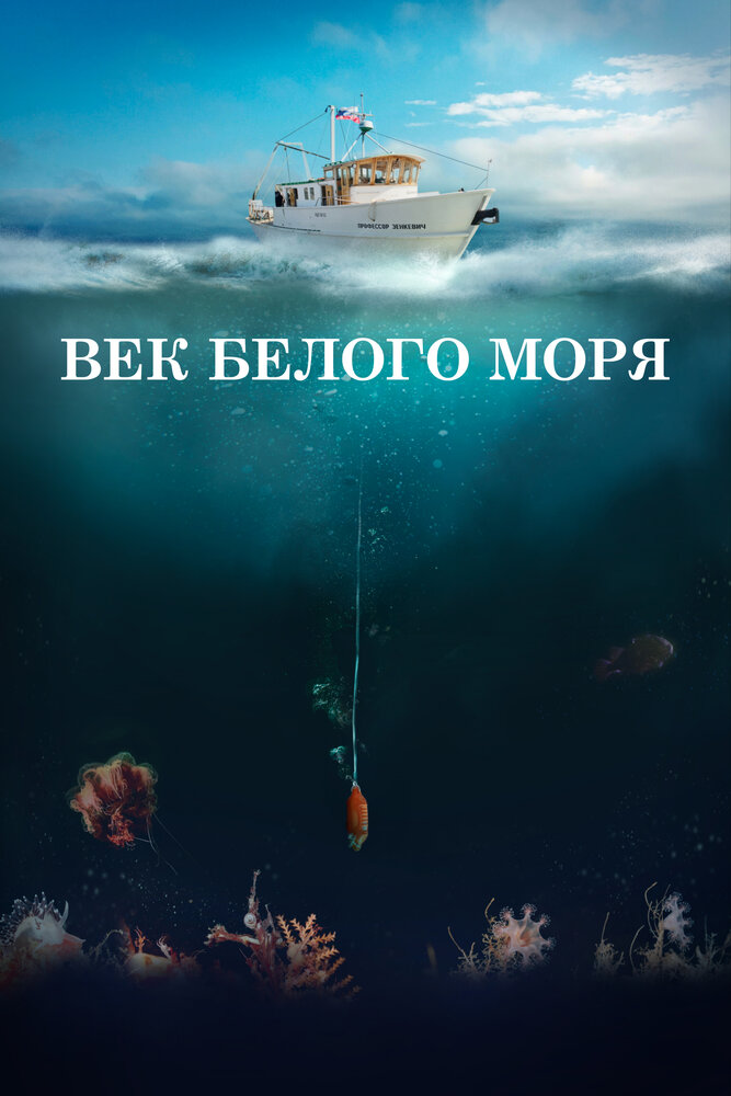 Век Белого моря