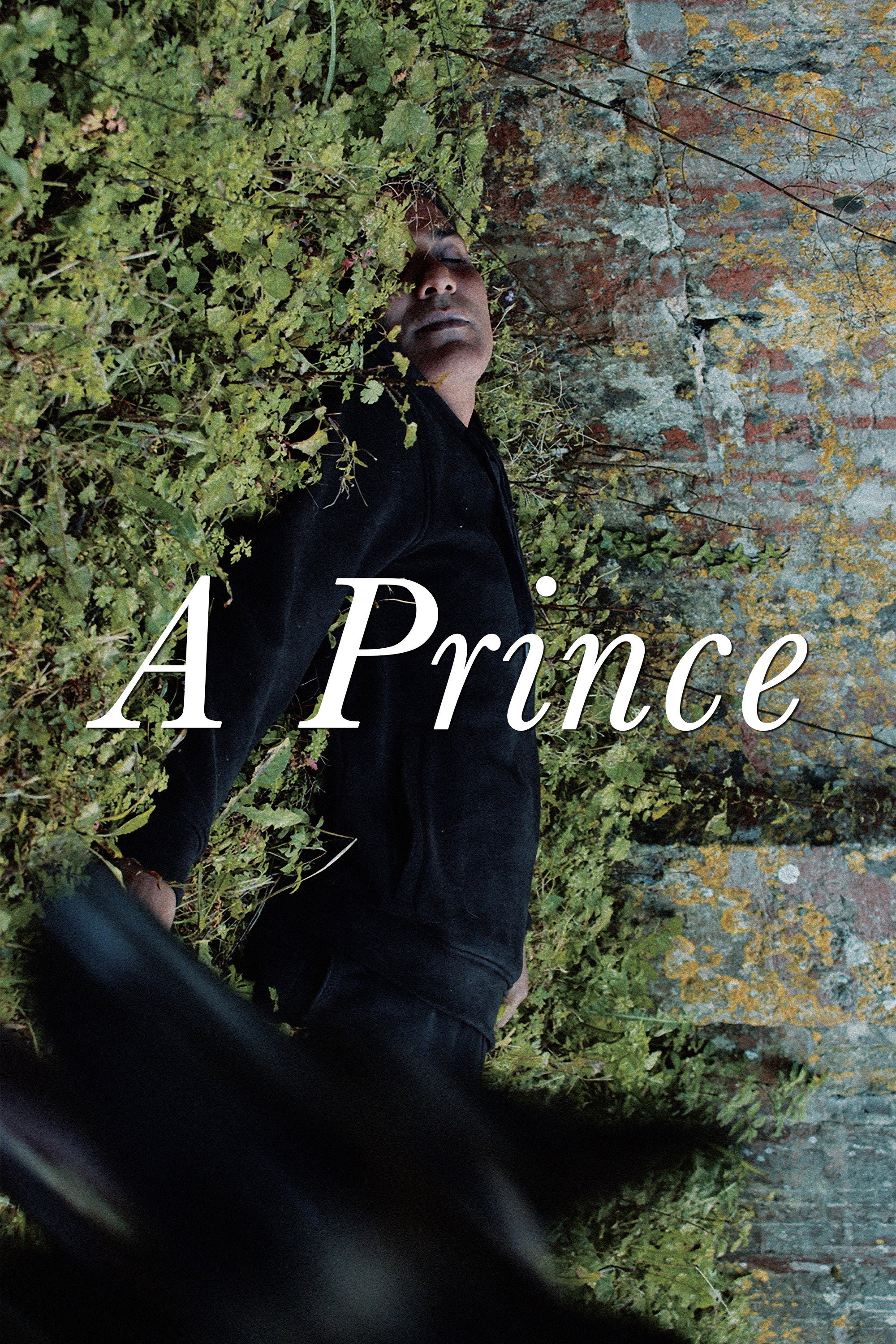 Un prince