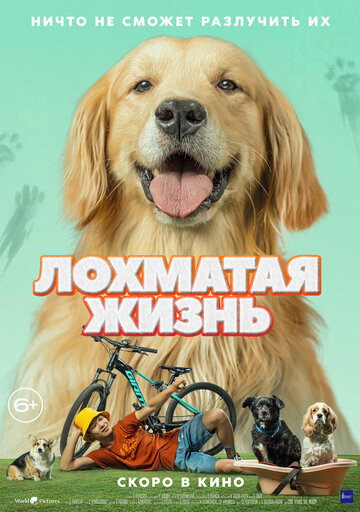 Алдагдсан өдрүүд