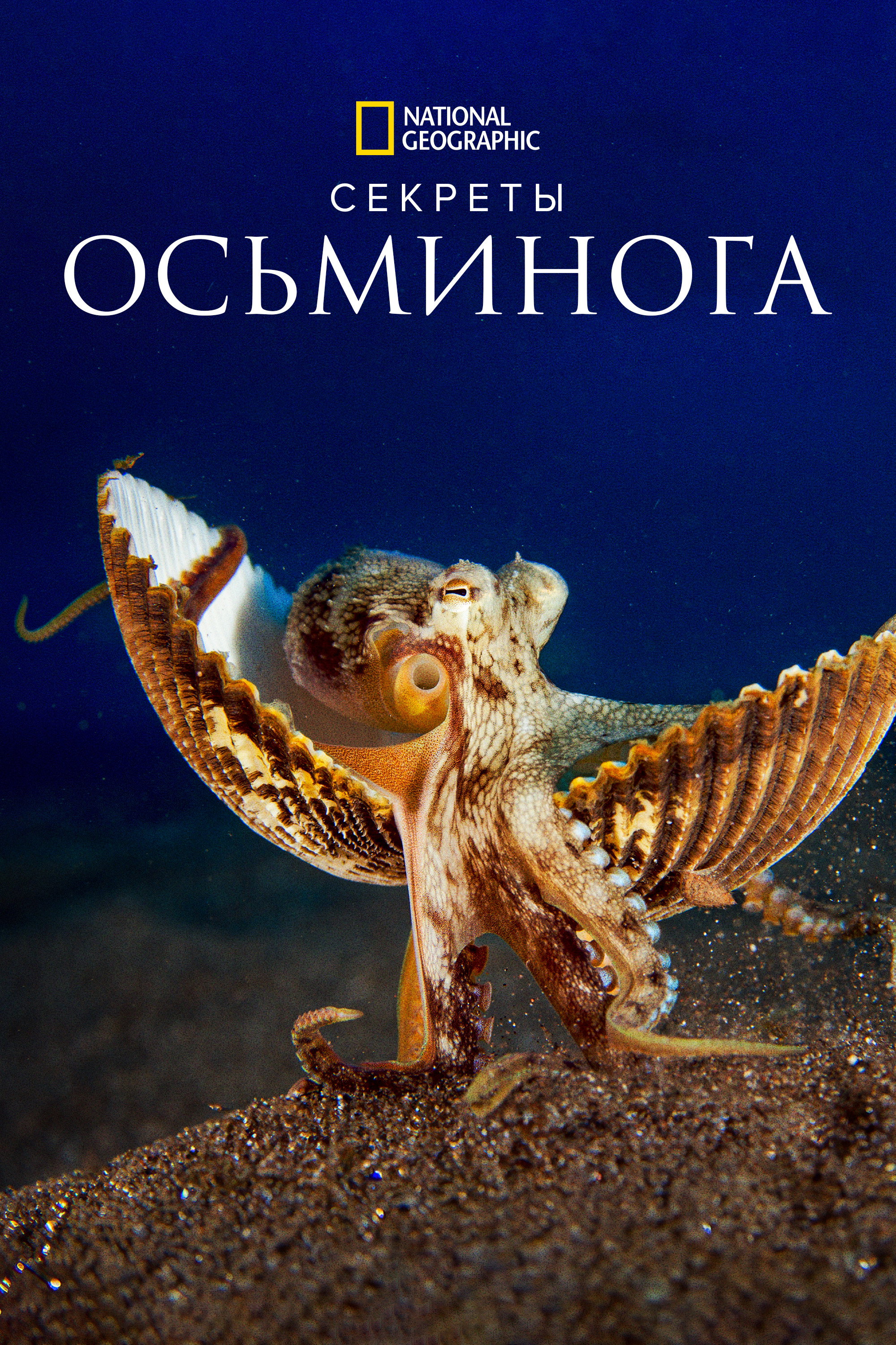 Secrets of the Octopus