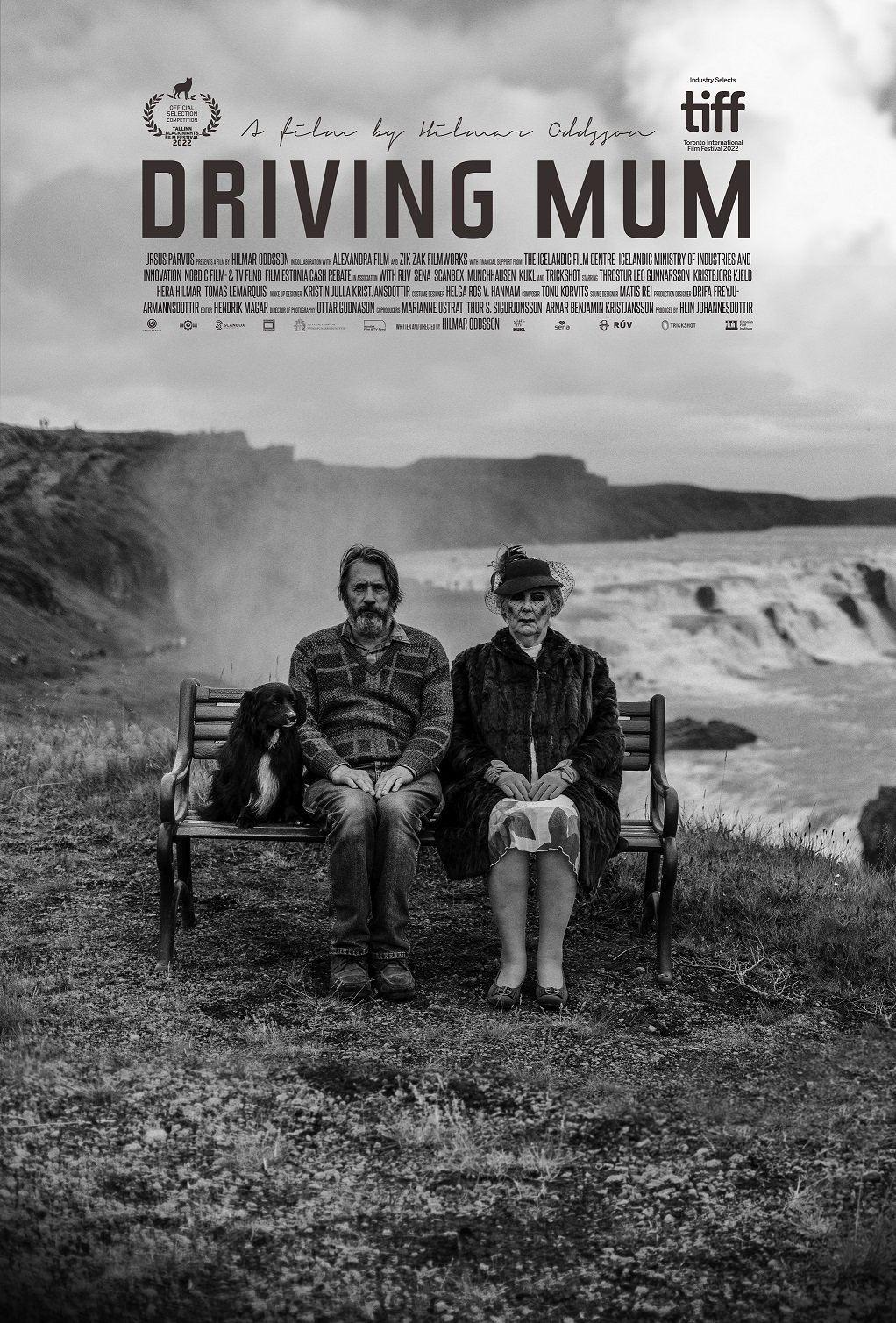 Driving Mom - Unterwegs mit Mama