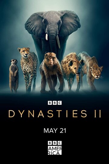 Dynastien II