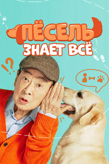 Dog Knows Everything