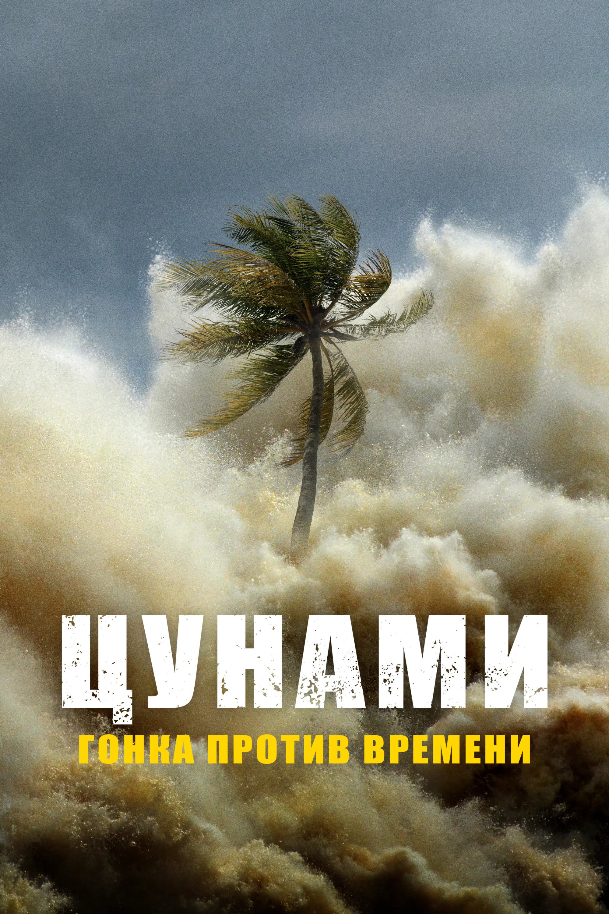 Цунами: Гонка со временем