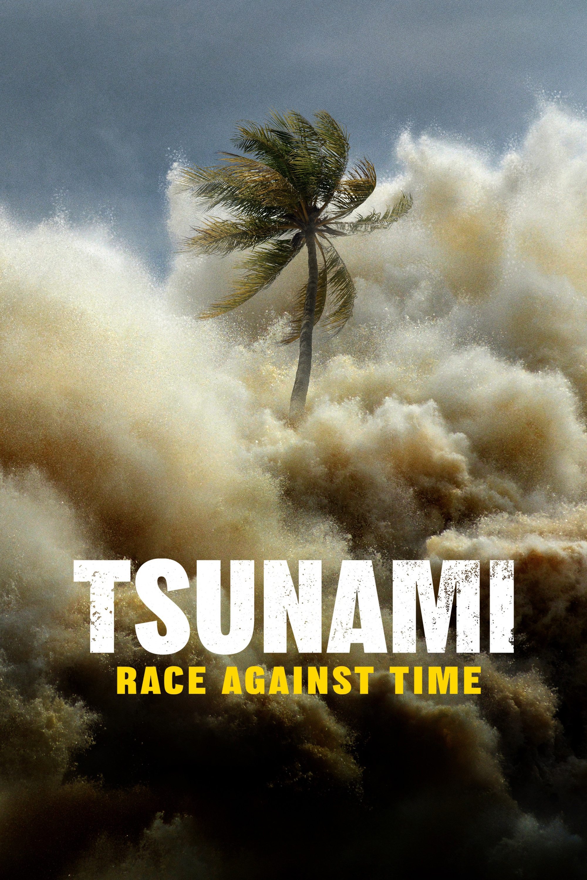 Tsunami: Wettlauf gegen die Zeit
