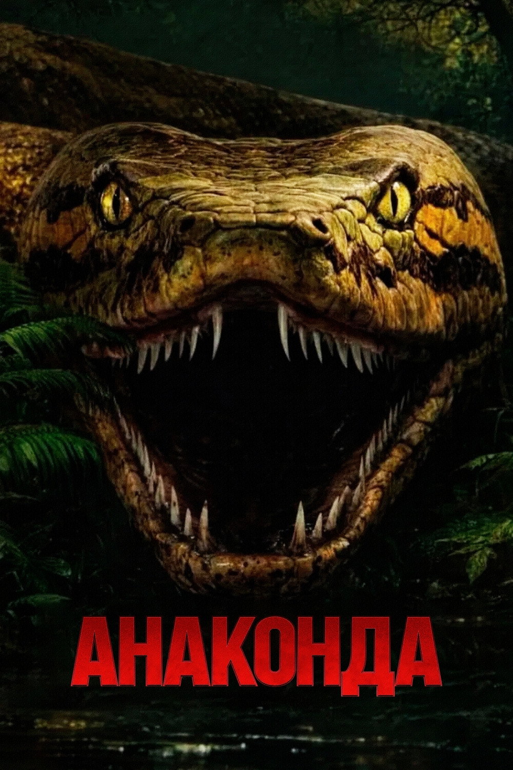 Анаконда