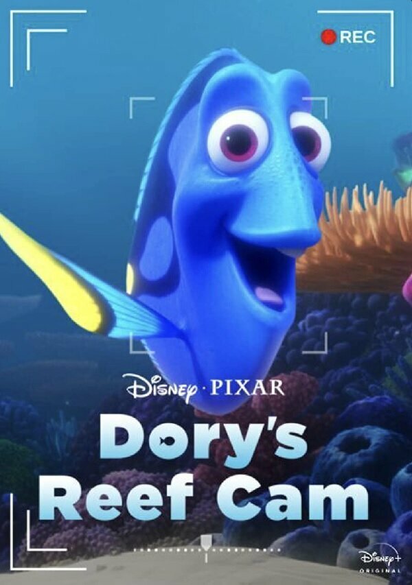 Dory's Reef Cam