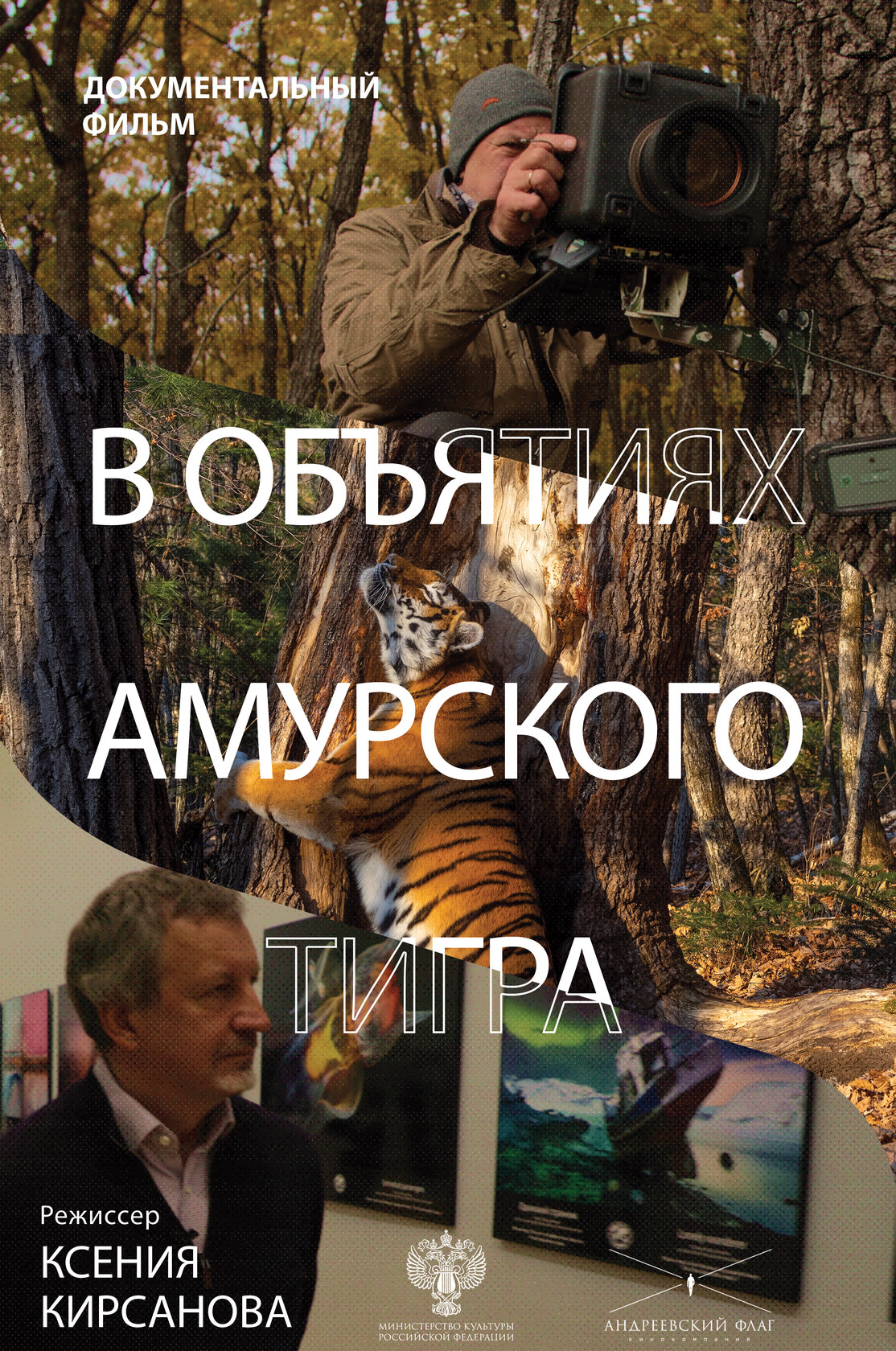 В объятиях амурского тигра