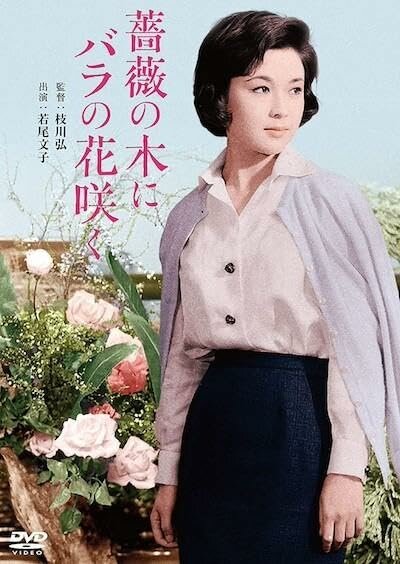 Bara no ki ni bara no hana saku