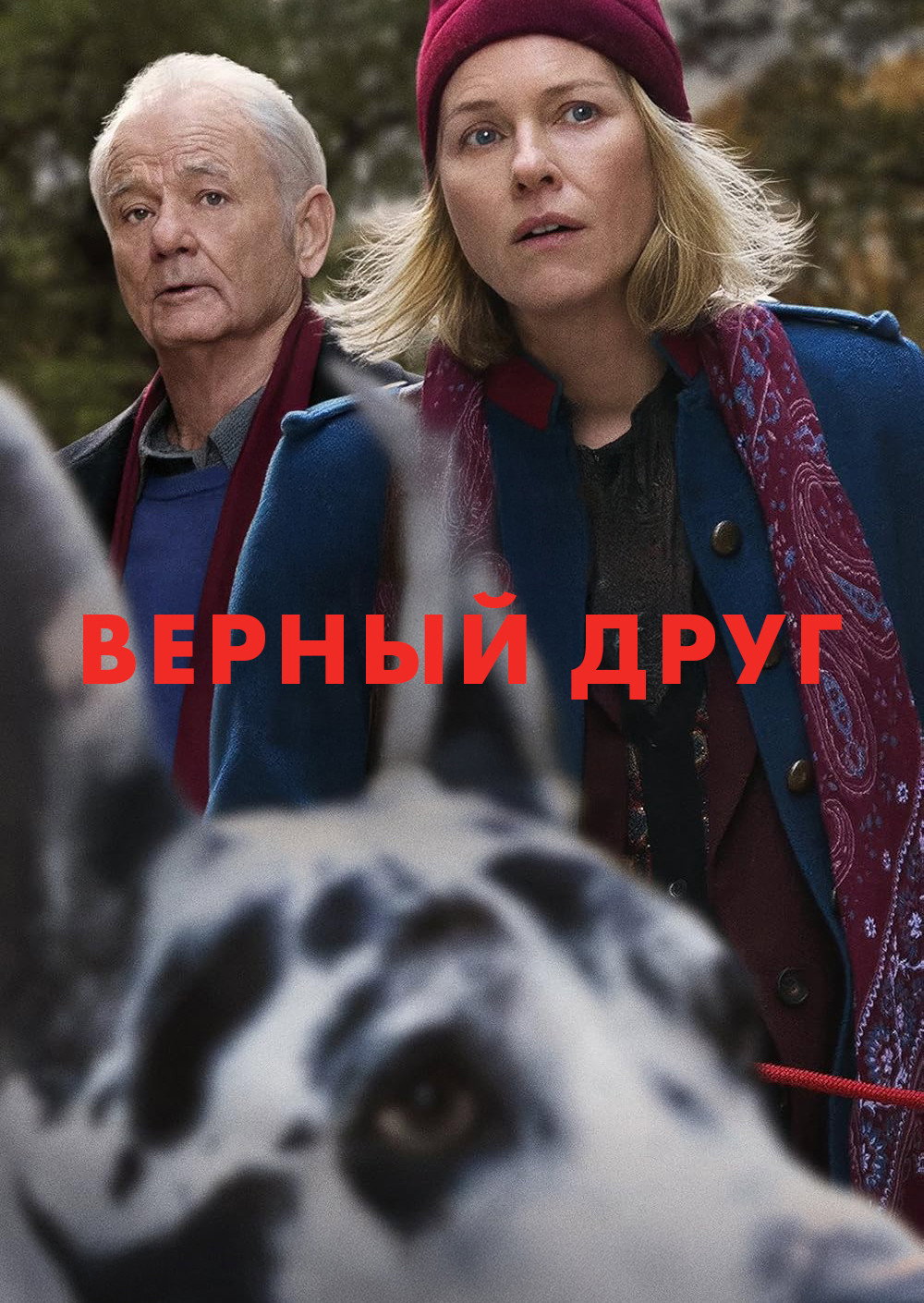 Верный друг