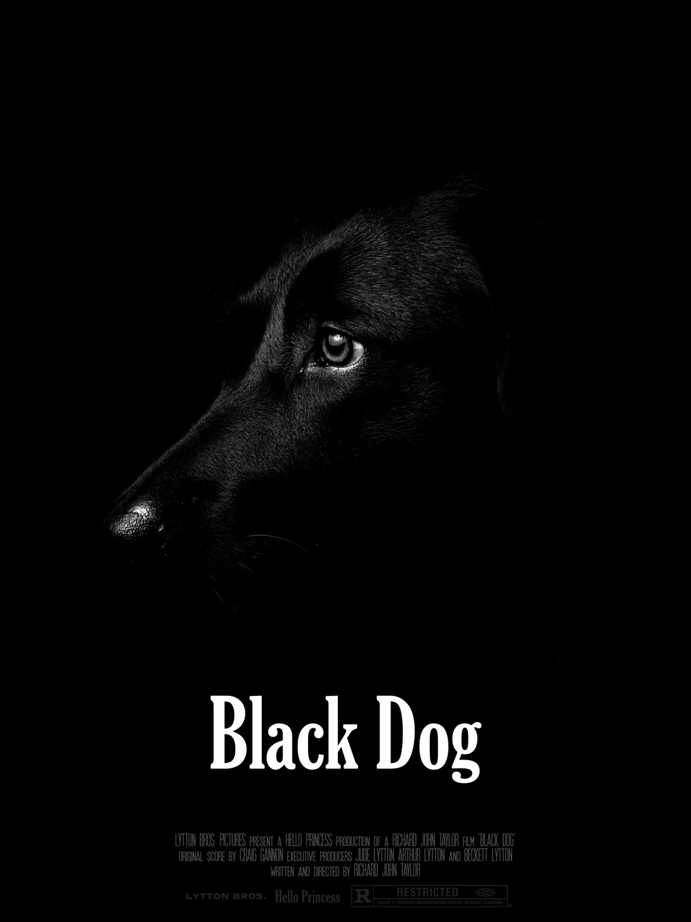 Black Dog