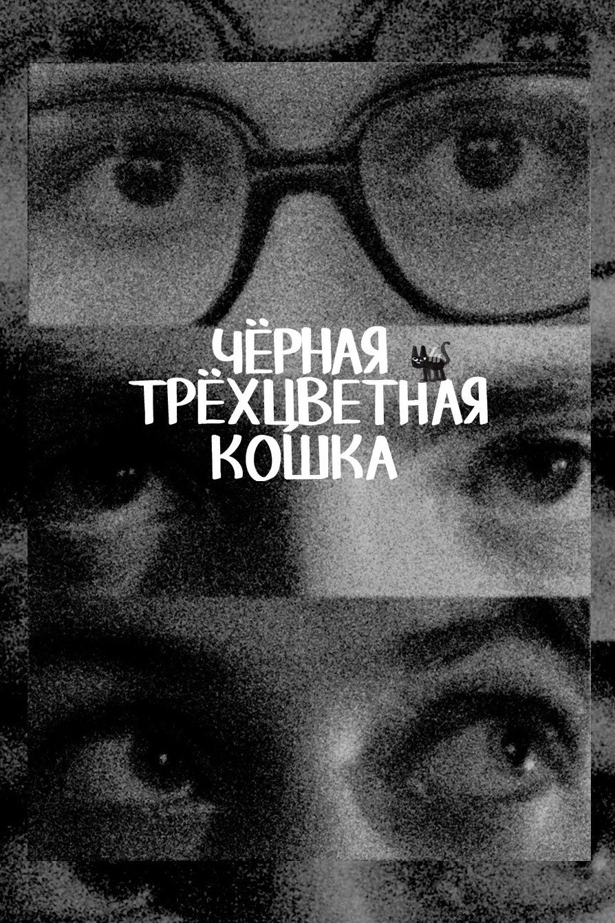 Чёрная трёхцветная кошка