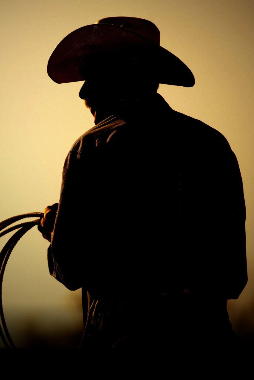 The Last Rodeo