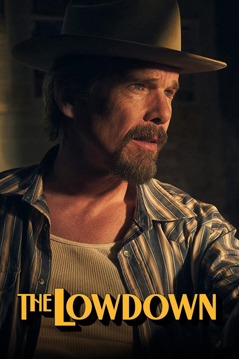 The Lowdown