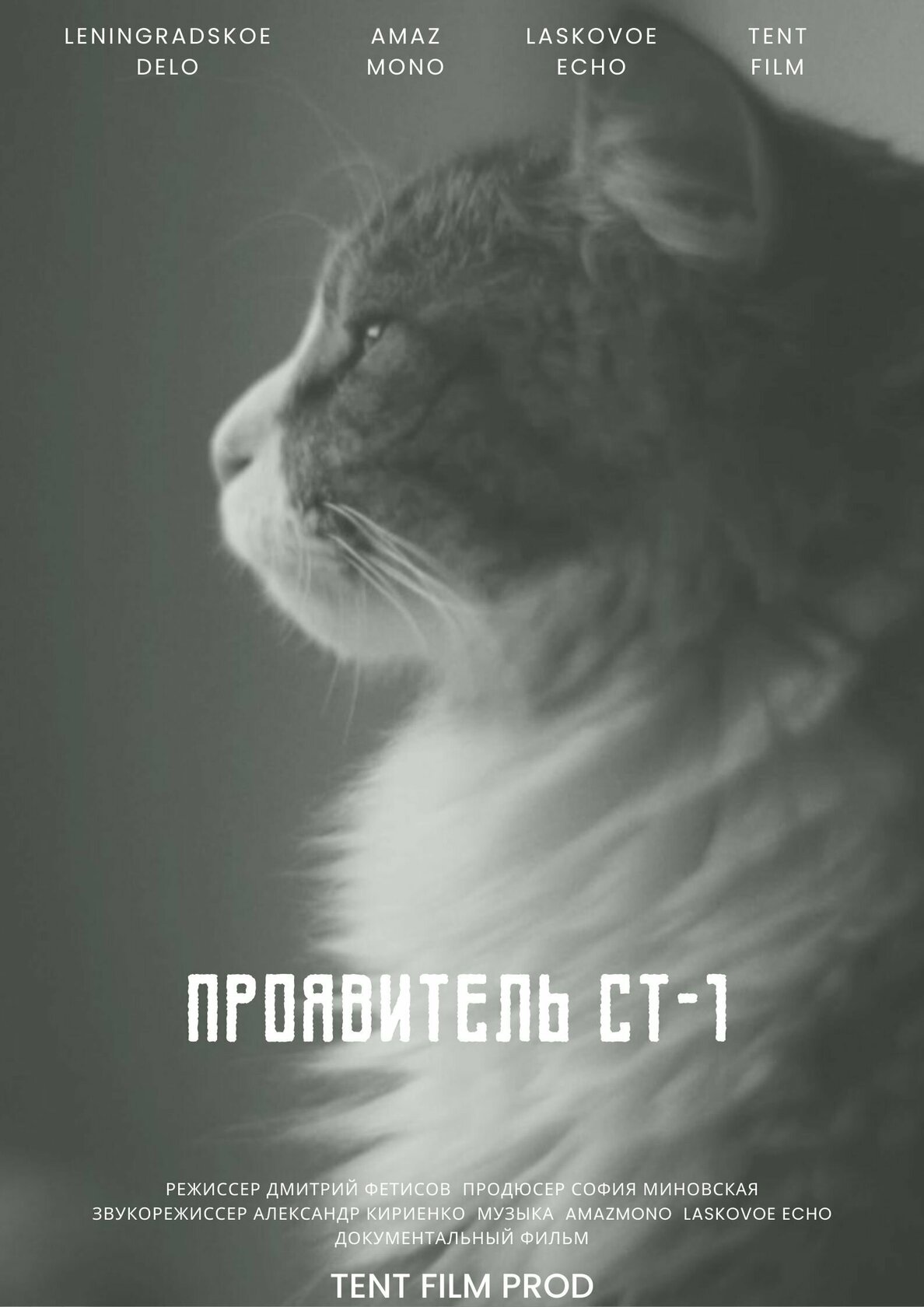 Проявитель СТ-1
