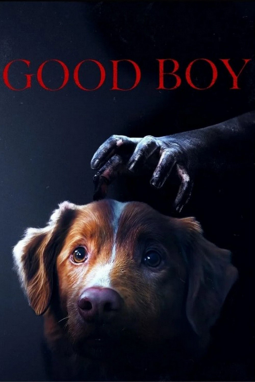 Good Boy