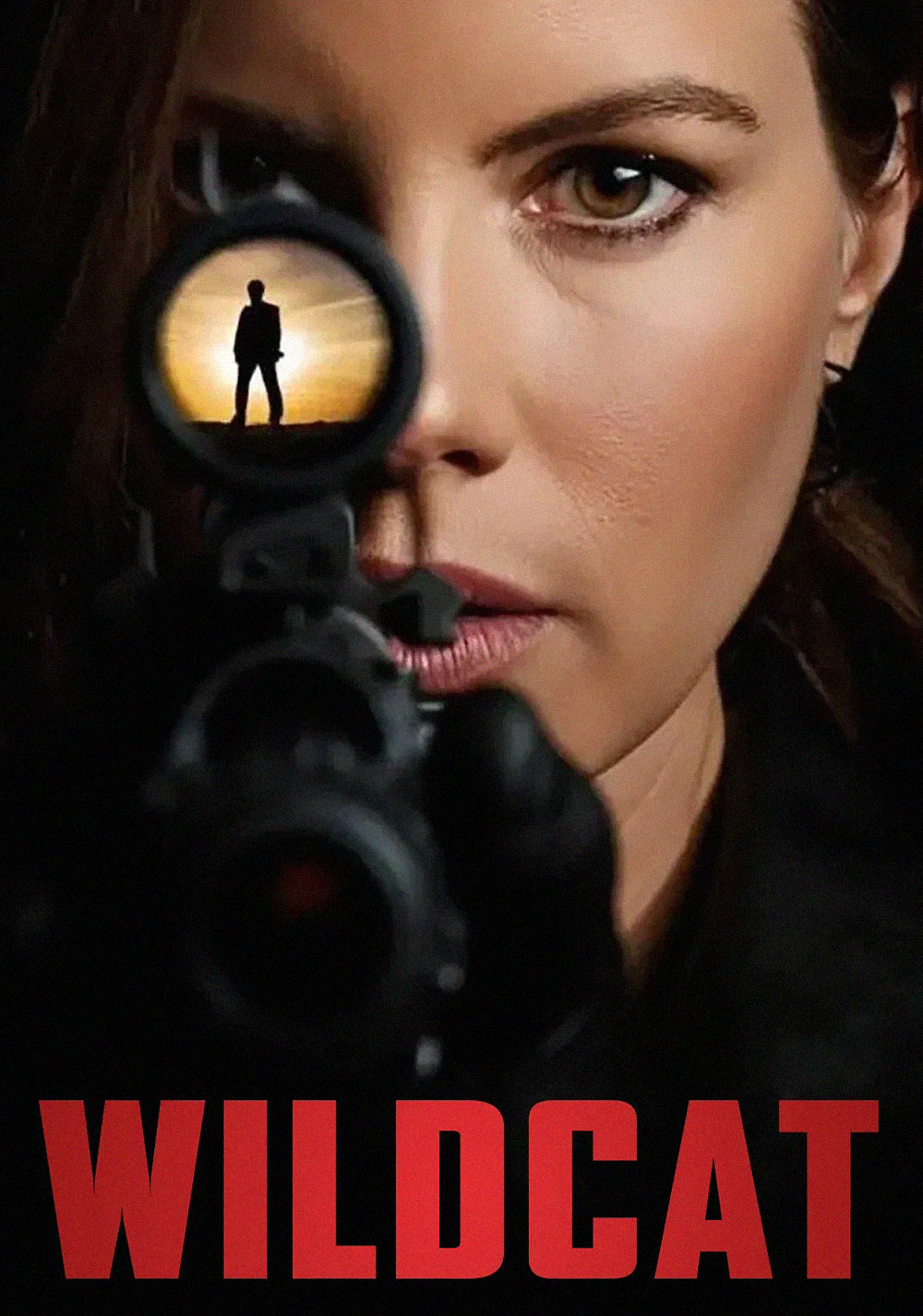 Wildcat