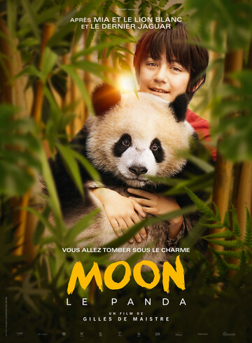 Moon, der Panda