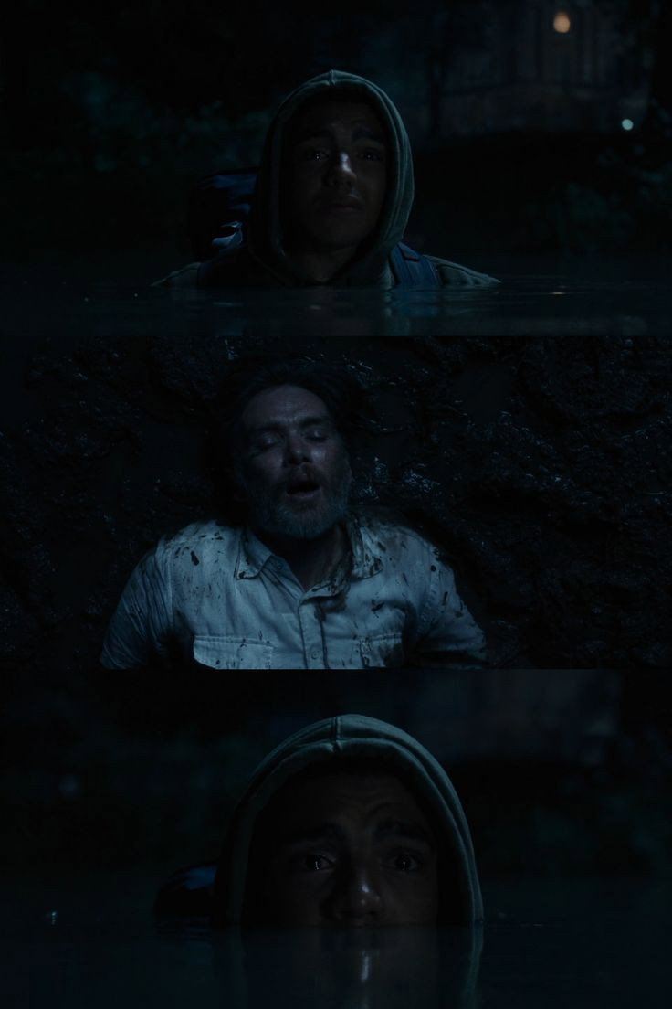 סטיב