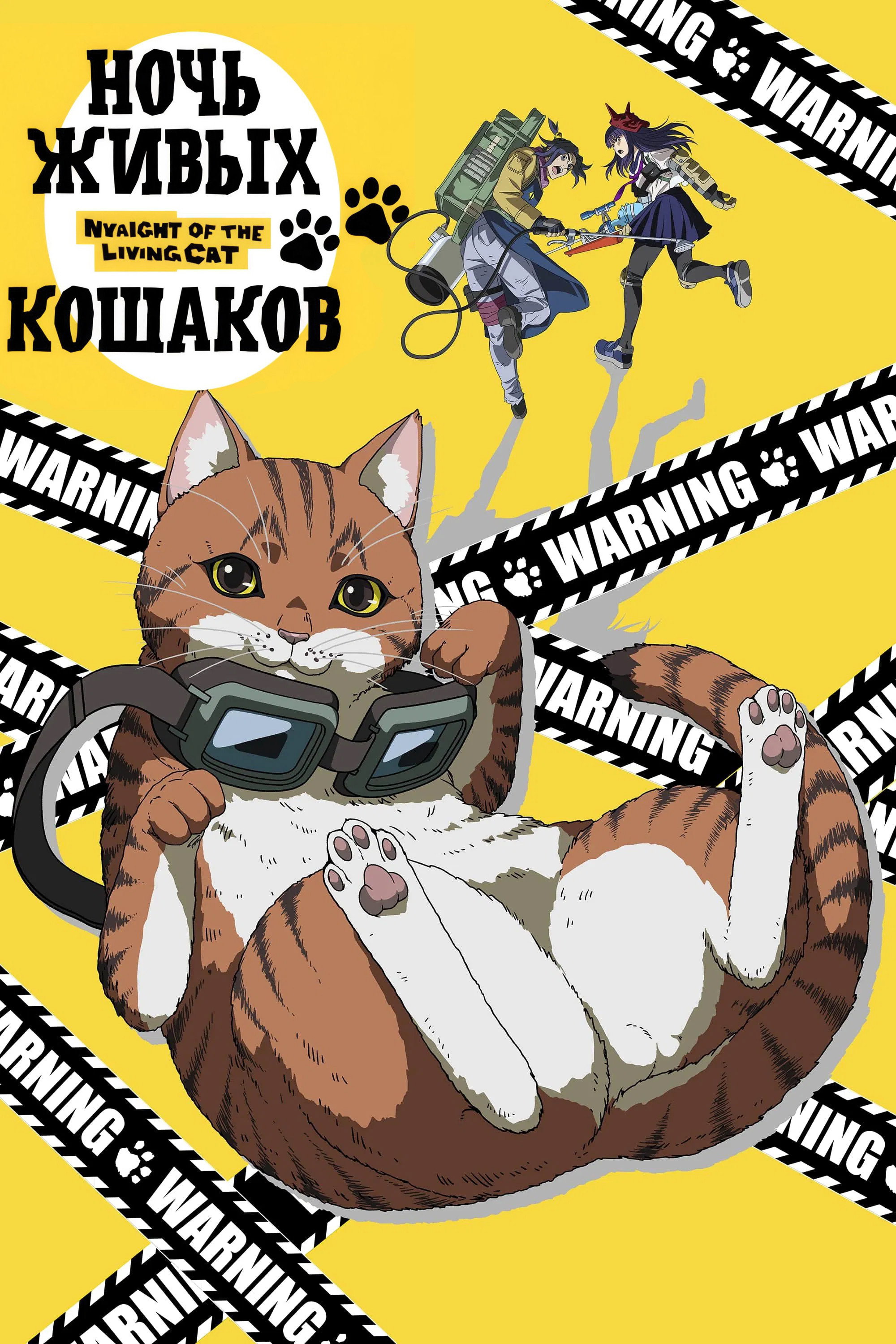 Ночь живых кошаков