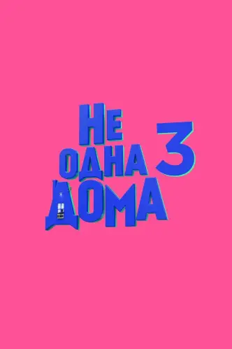 Home Not Alone 3