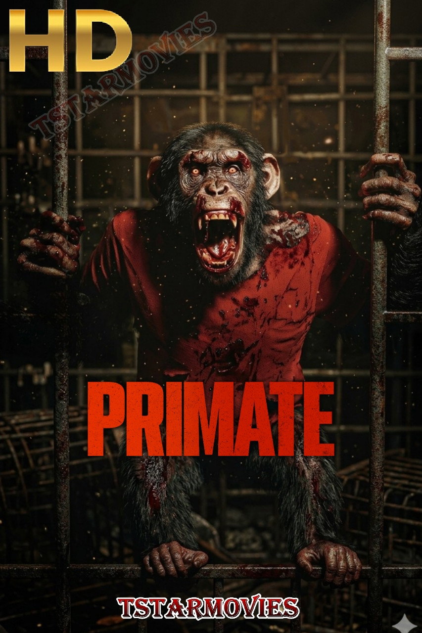 Primate