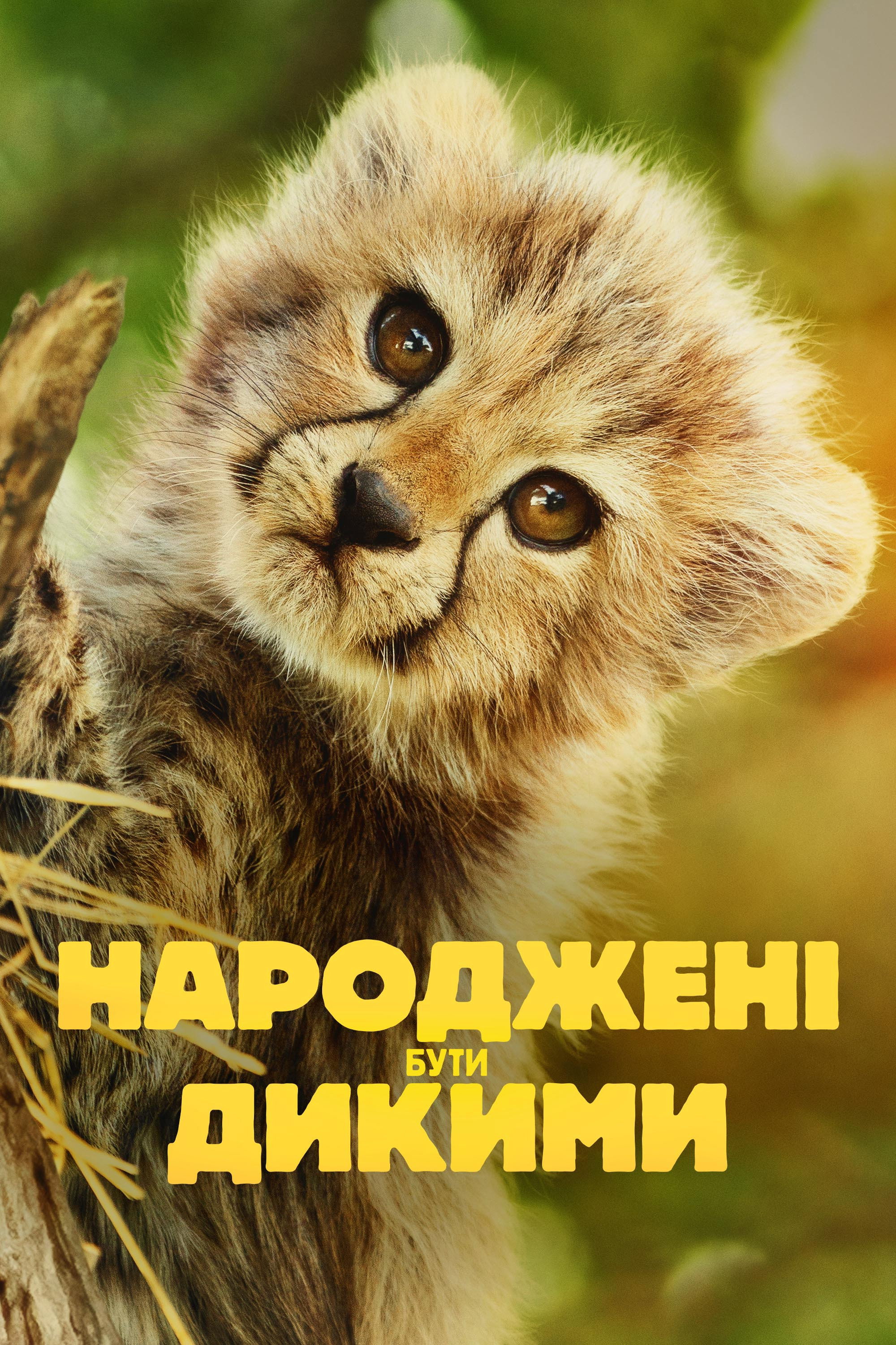 Народжені бути дикими