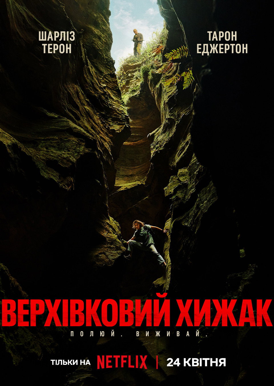 Верхівковий хижак