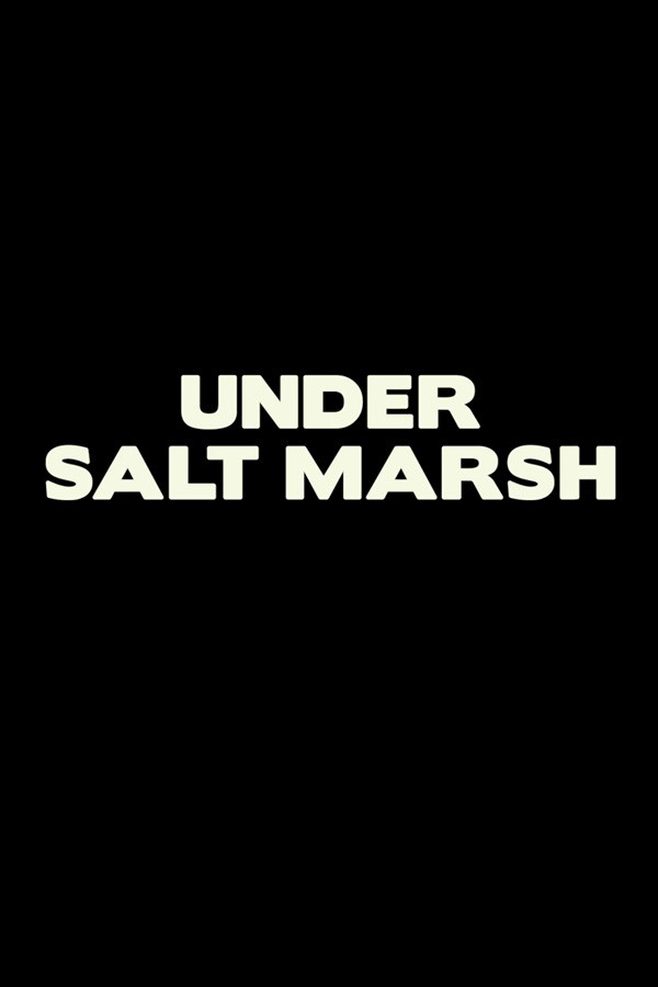 Under Salt Marsh