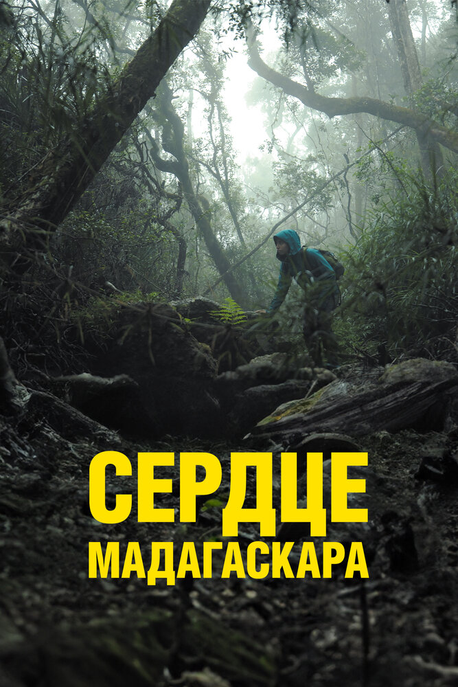 Сердце Мадагаскара