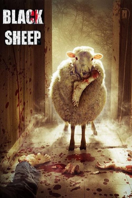 Black Sheep