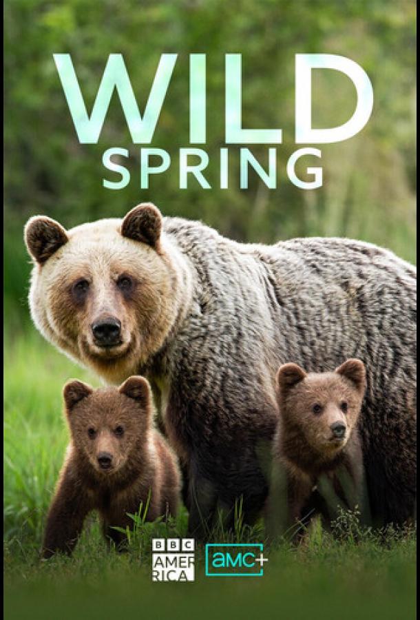 Wild Spring