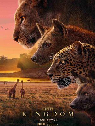 Kingdom