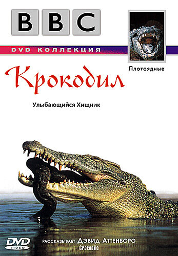 BBC: Крокодил