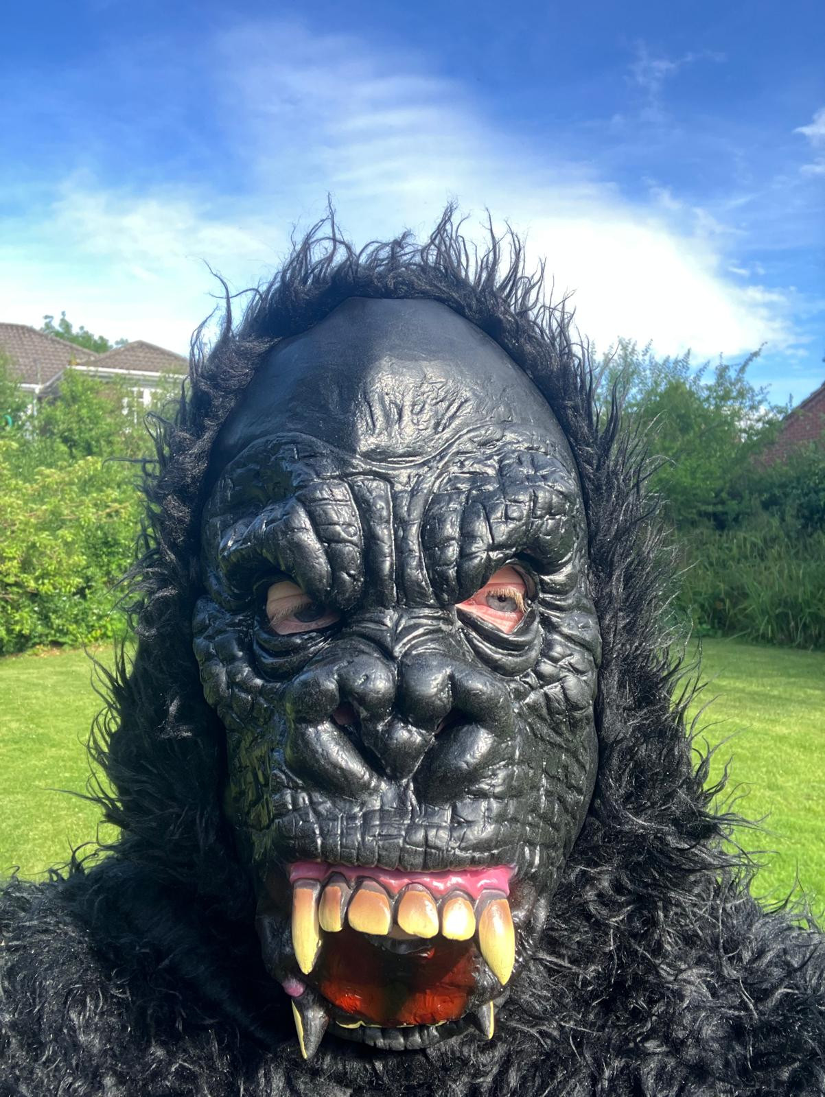 killa gorilla from outer space