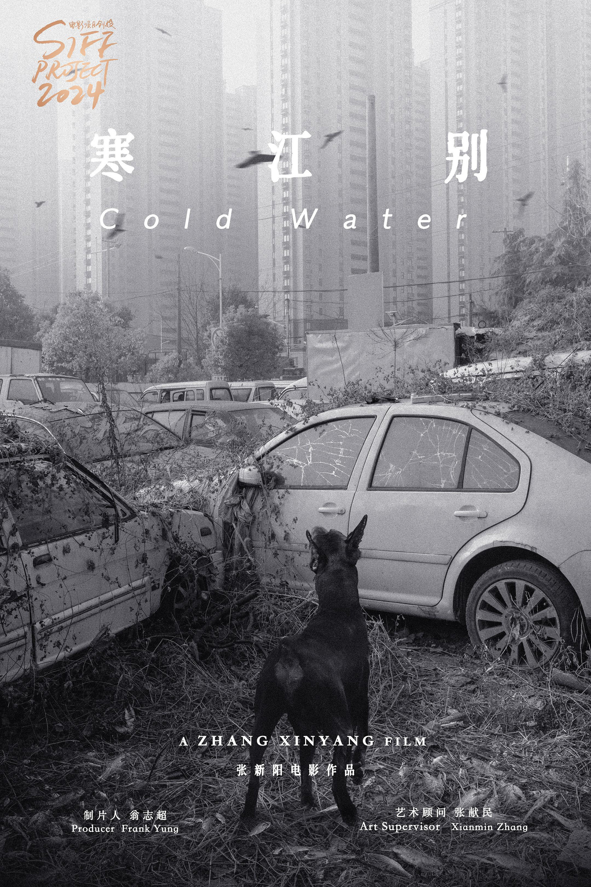 伤寒杂病论
