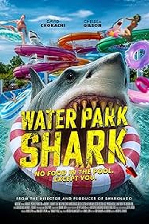Water Park Shark