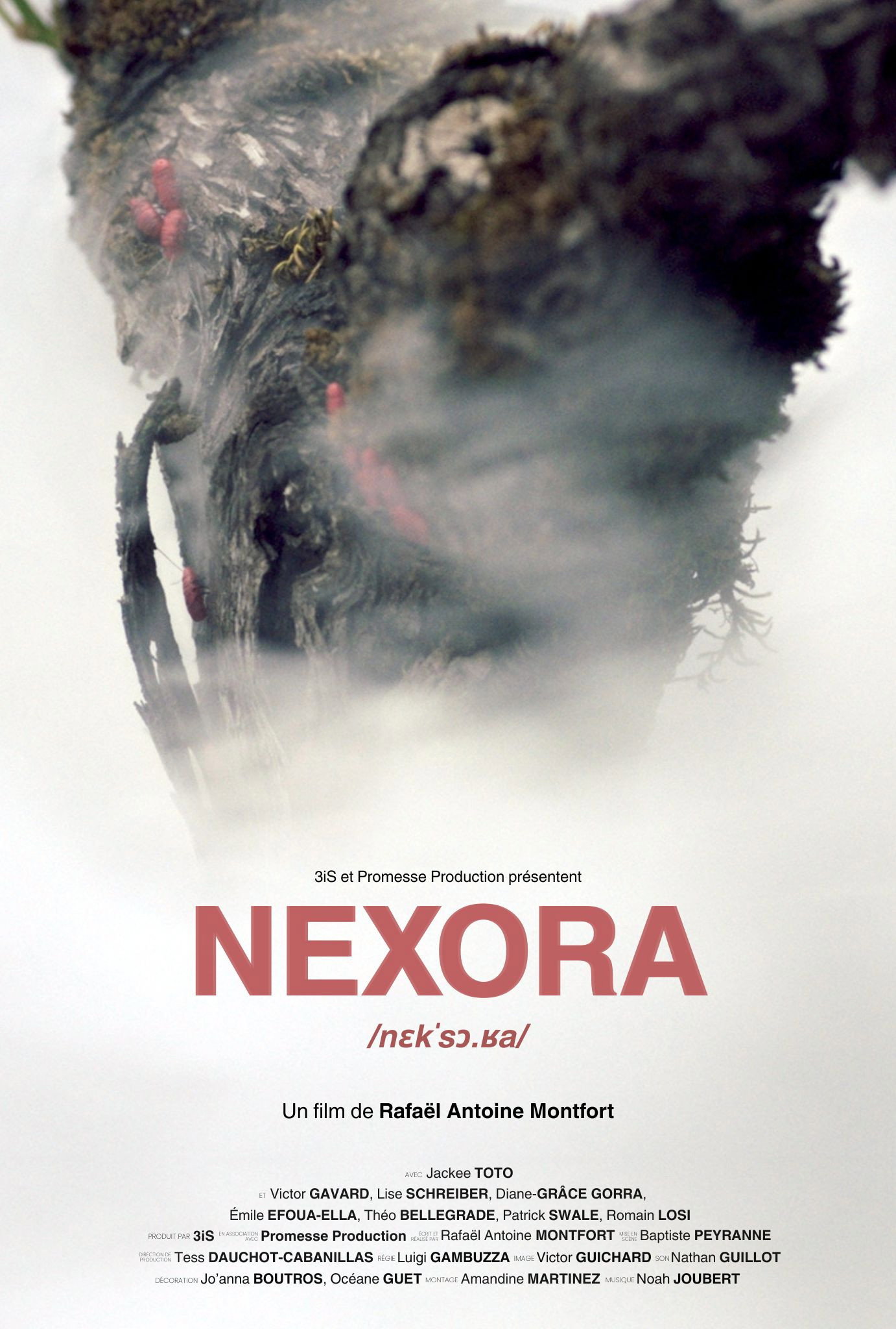 Nexora