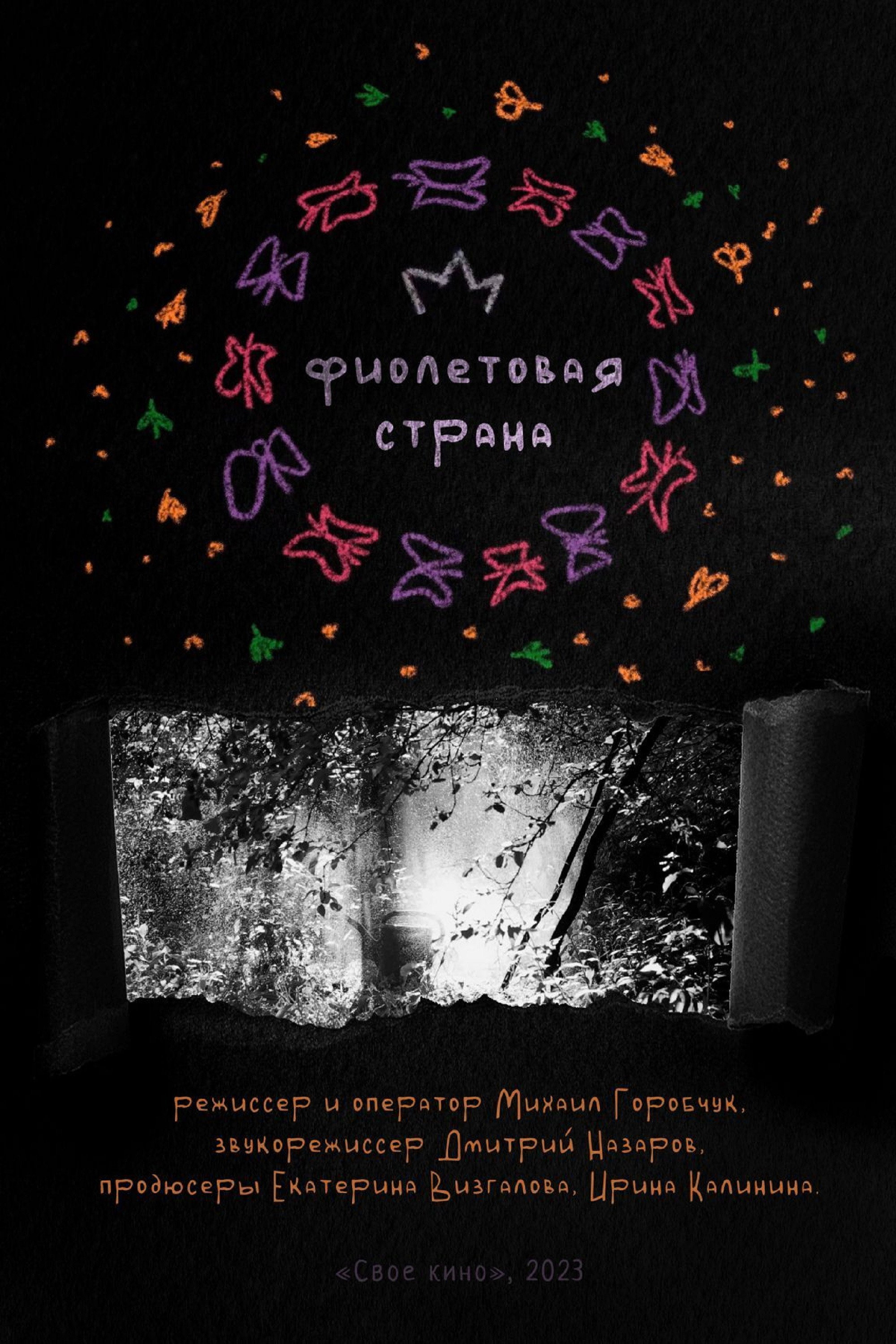 Фиолетовая страна