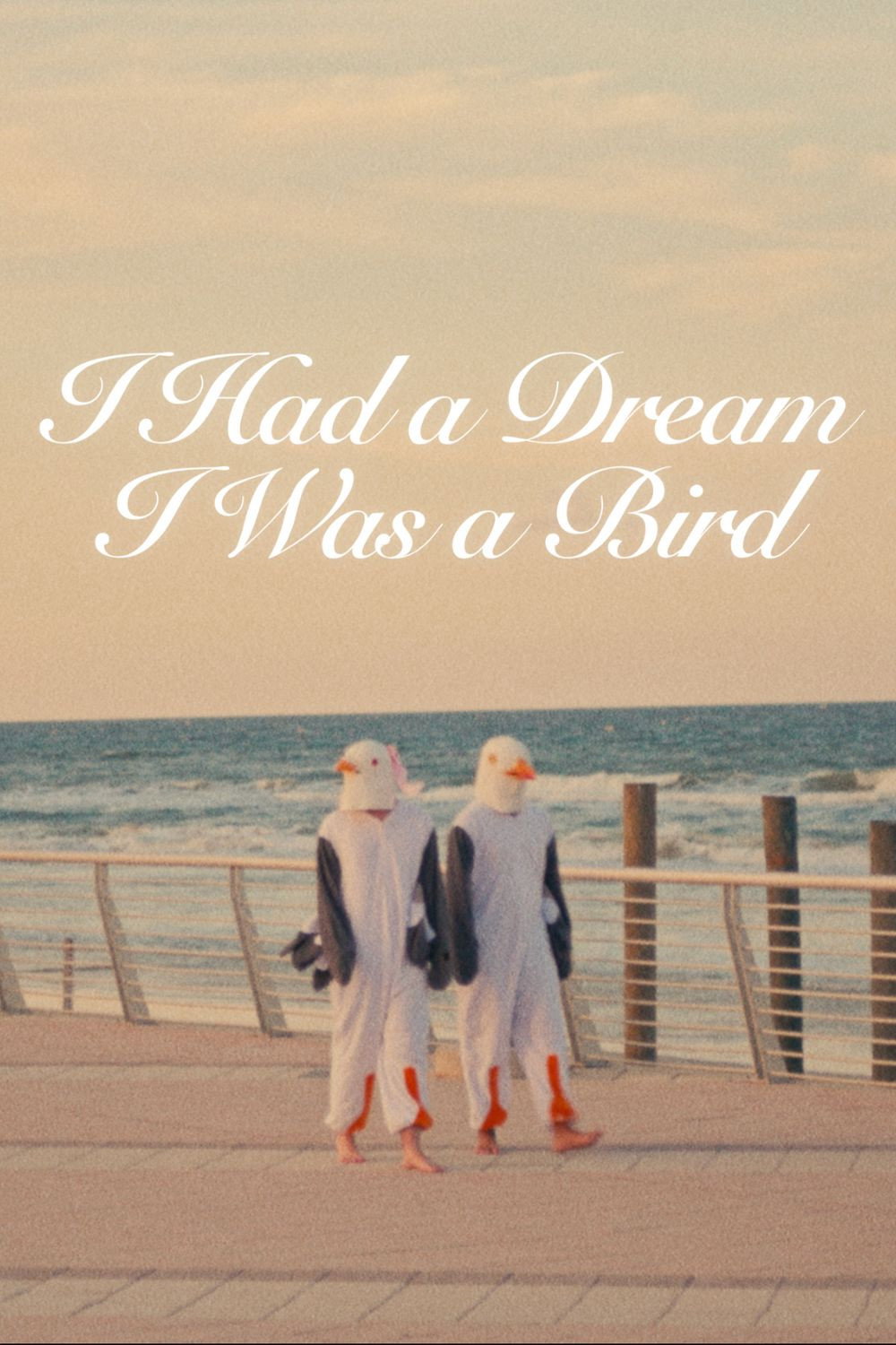 I Had a Dream I Was a Bird
