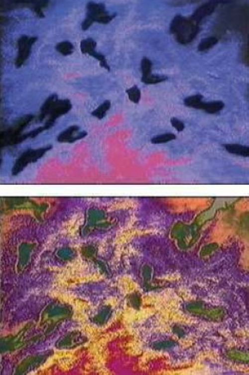 Color Computer '84