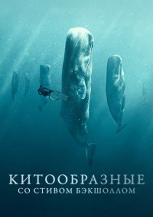 Wale – mit Steve Backshall