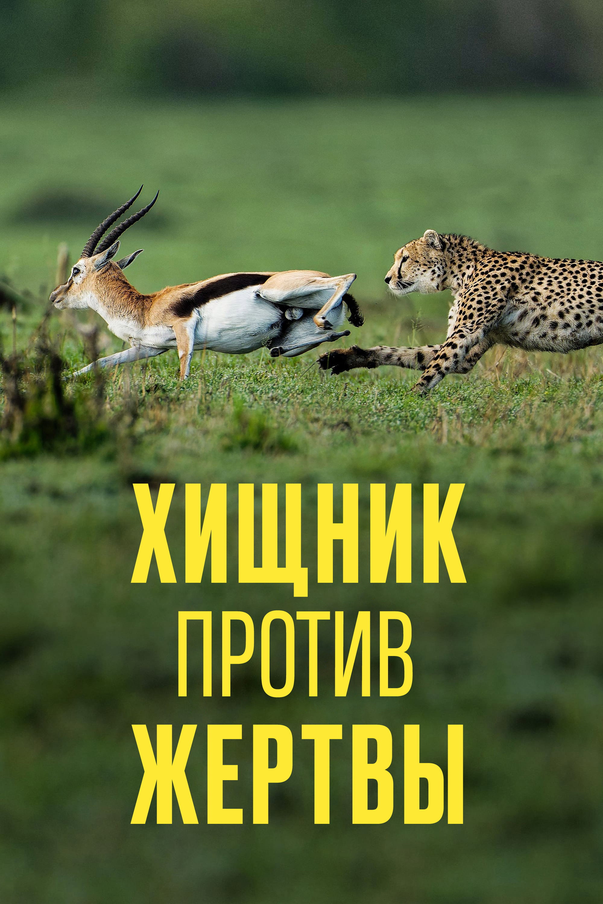 Хищник против жертвы